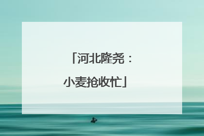 河北隆尧：小麦抢收忙